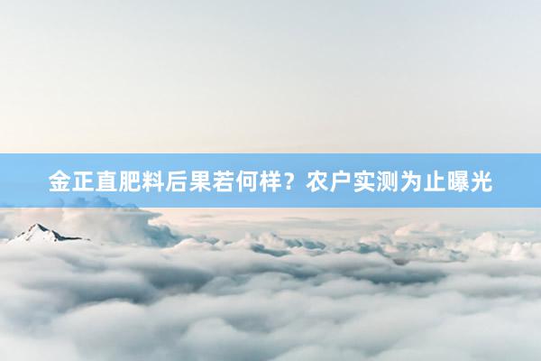 金正直肥料后果若何样？农户实测为止曝光