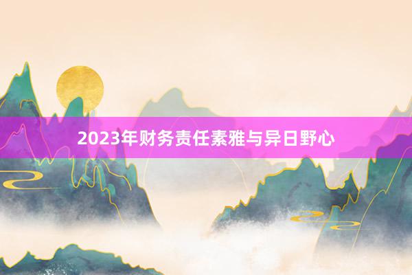2023年财务责任素雅与异日野心