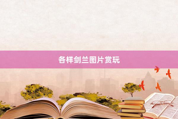 各样剑兰图片赏玩
