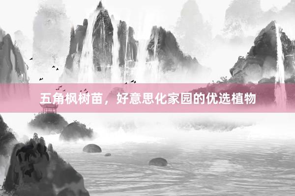 五角枫树苗，好意思化家园的优选植物